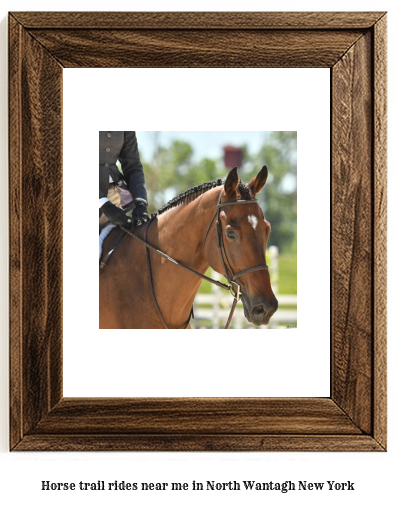 horse trail rides near me in North Wantagh, New York